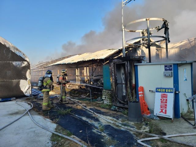 ▲ 7일 오후 6시30분쯤 충북 진천군 한 오리농장에서 화재가 발생해 소방당국이 진화작업을 하고 있다.ⓒ충북소방본부