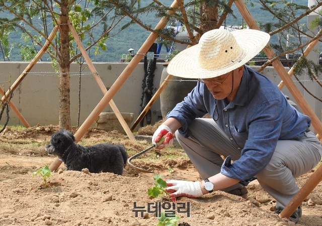 ▲ 지난 5월20일 문재인 전 대통령의 트위터 계정에 올라온 밭일 하는 문 전 대통령의 모습.ⓒ문재인 전 대통령 트위터