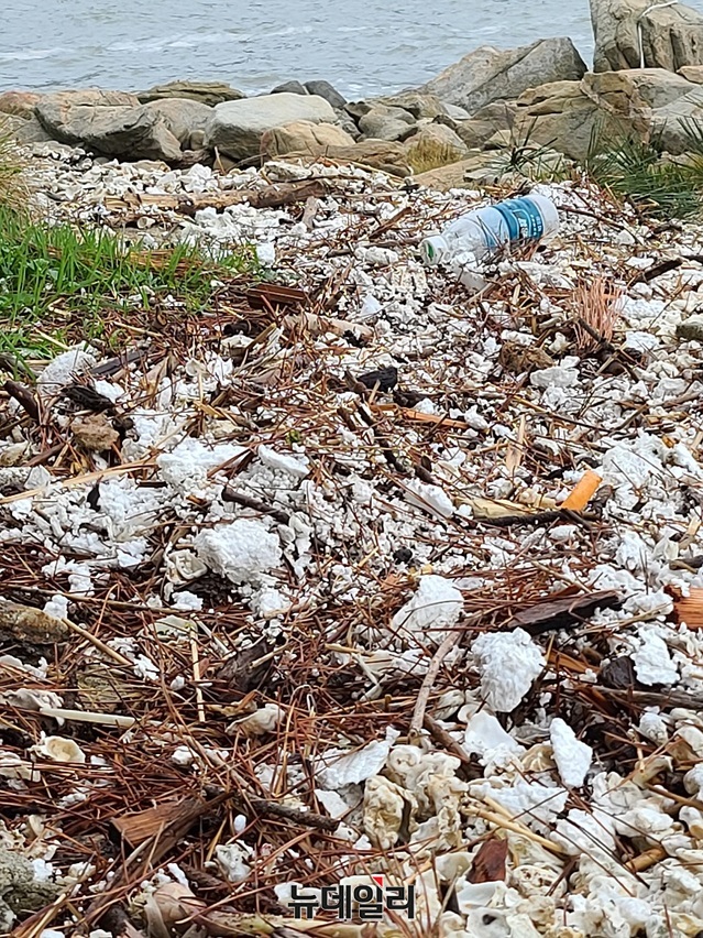 ▲ 충남 태안군 해안가에 해양쓰레기 엄청나게 많이 쌓여 있다.ⓒ뉴데일리 D/B