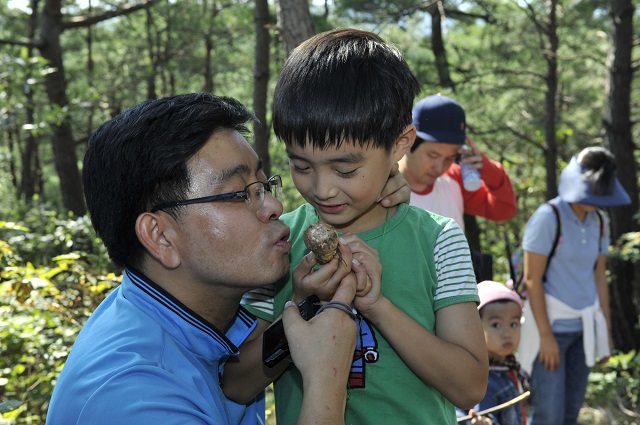 ▲ 지난 봉화송이축제에서 관광객들이 송이축제 대표 콘텐츠인 송이채취체험을 하고 있다.ⓒ봉화군