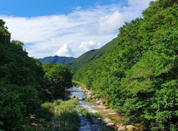 ▲ 괴산 속리산 쌍곡계곡 전경.ⓒ충북도
