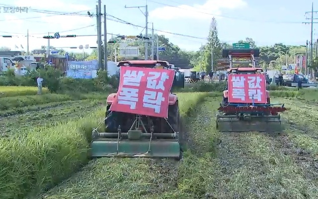 ▲ ‘쌀값 폭락에 성난 농심.’ 21일 충남 보령에서 농민들이 쌀값 인상을 요구하며 논을 갈아 엎는 시위를 벌이고 있다. 농민들은 이날 충남 천안과 아산 등 9개 지역에서 논갈이 시위를 벌였다.ⓒKBS 뉴스 캡처