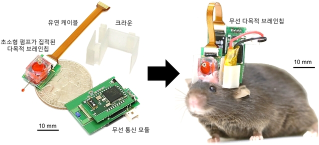 ▲ 약물 전달와 뇌신호 측정이 동시에 가능한 무선 다목적 브레인칩과 이를 장착한 생쥐. ⓒ고려대의과대학