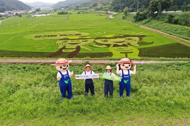 ▲ 충북 괴산군 문광면 신기리 문광저수지 일원에 조성한 유색벼가 각각의 색을 나타내며 한 폭의 그림을 연출하고 있다. 올해로 15년째인 유색벼 논그림의 주제는 오는 30일 개막하는 2022 괴산 세계유기농산업 엑스포이다.ⓒ충북도