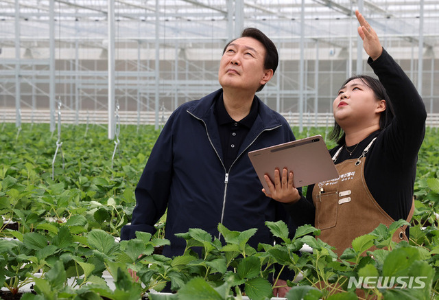 ▲ 윤석열 대통령이 5일 경북 상주 스마트팜 혁신밸리에서 열린 제9차 비상경제민생회의에 앞서 딸기 온실을 방문해 청년농으로부터 태블릿 PC를 이용한 분무기, 냉풍기 작동에 대한 설명을 듣고 있다. ⓒ뉴시스