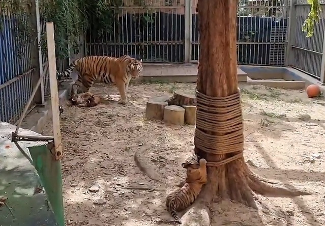 ▲ ⓒ대전 오월드