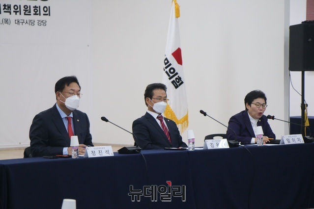 ▲ 13일 오전 국민의힘 대구시당에서 열린 국민의힘 비상대책위원회 회의 장면(왼쪽부터 정진석 비대위원장, 김용판 의원, 임이자 의원.ⓒ뉴데일리