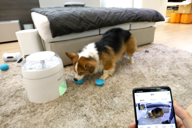 ▲ ⓒLG유플러스