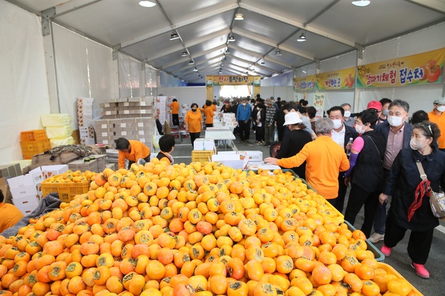 ▲ ‘주홍빛 청도 맛에 반하고 주홍빛 청도 멋에 빠지다’ 라는 슬로건으로 펼쳐진 청도반시축제는 반시마켓, 반시푸드존, 반시이색가요제 등 특별프로그램이 인기를 끌었다.ⓒ청도군