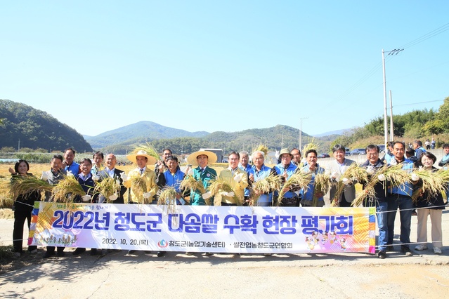 ▲ 청도군(군수 김하수)은 10월 20일 (사)한국쌀전업농청도군연합회원과 인근주민등 130여 명이 참석해 각북면 우산리에서 2022년도 다솜쌀 & 벼 소식재배 기술시범 평가회를 가졌다.ⓒ청도군