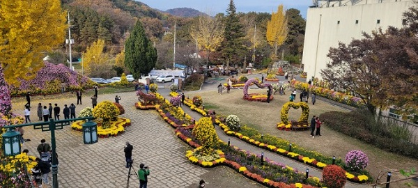 ▲ 대전 동구는 오는 27일부터 다음달 10일까지 대청호자연생태관에서 '2022년 대청호반 국화전시회'를 개최한다.ⓒ동구청