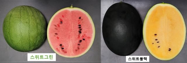 ▲ ⓒ충북농업기술원