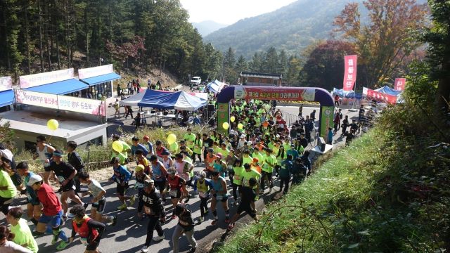 ▲ 2019년 속리산 단풍 마라톤대회 모습.ⓒ보은군