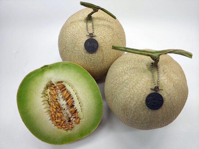 ▲ 진천 ‘허니짱’ 멜론.ⓒ진천군