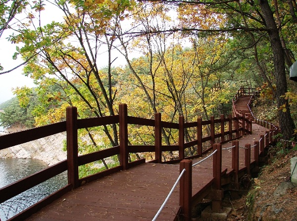 ▲ 청남대 노태우 대통령길(데크길).ⓒ청남대