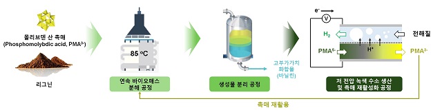 ▲ 폐목재 분해 및 그린 수소 생산을 위한 연속 공정 모식도.ⓒ포스텍