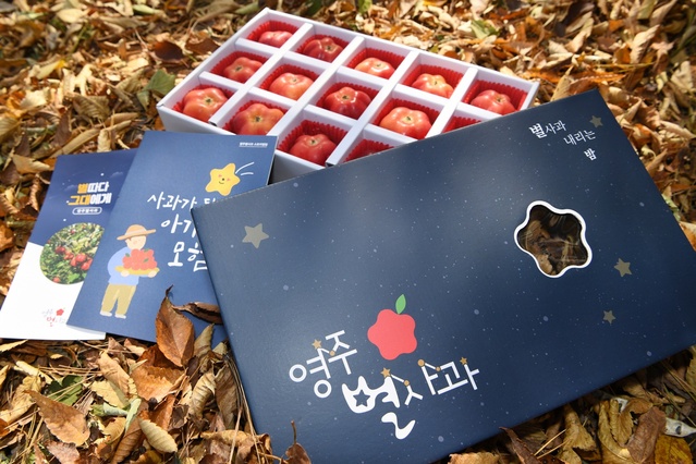 ▲ 경북 영주에서만 생산되는 별모양 사과 ‘가을스타’가 말레이시아 국민들에게 선보인다.ⓒ영주시