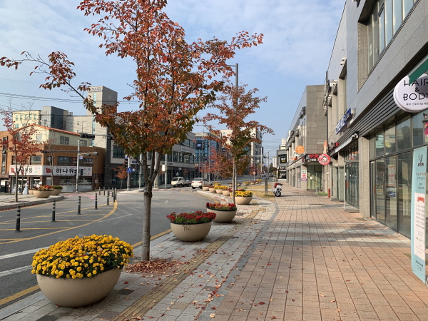 ▲ 충주시가 길거리 곳곳에 놓인 가로화분의 꽃을 철거를 하지 않고 시민들에게 나눔행사를 실시한다.ⓒ충주시