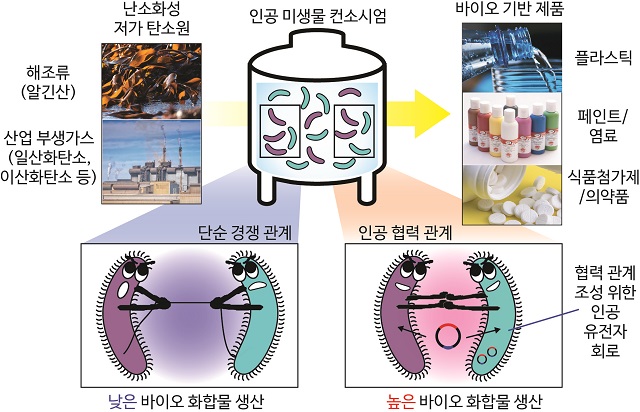 ▲ 유전자 회로 이용한 생물공정 생산성 제고 기술 연구관련 사진.ⓒ포스텍