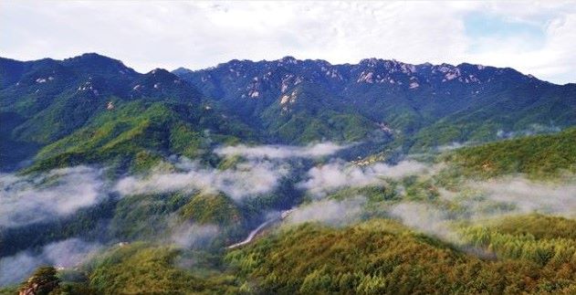 ▲ 하늘다람쥐 서식지 속리산국립공원.ⓒ환경부