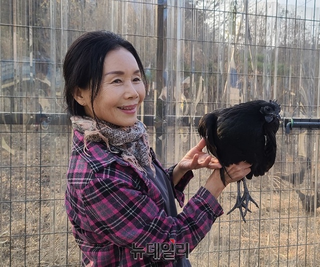 ▲ 이승숙 논산 연산오계재단 이사장이 천연기념물 제265호 오계와 함께 사진을 찍고 있다.ⓒ이길표 기자