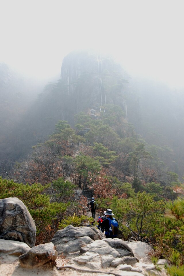 ▲ 충북 단양 월악산 국립공원 제비봉 등반길에 안개가 잔뜩 드리워져 있다.ⓒ진경수 山 애호가