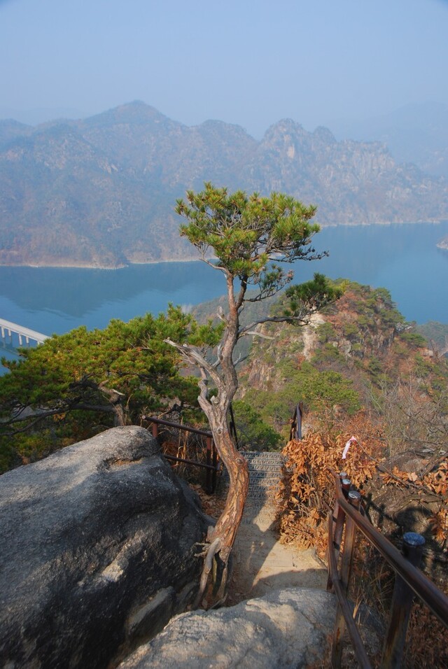 ▲ 등산객들의 손길에 몸살을 앓는 소나무.ⓒ진경수 山 애호가