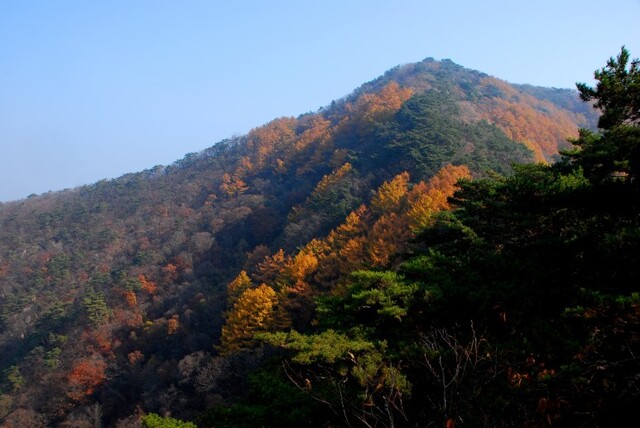 ▲ 치마자락처럼 산줄기가 완만한 아름다운 제비봉.ⓒ진경수 山 애호가