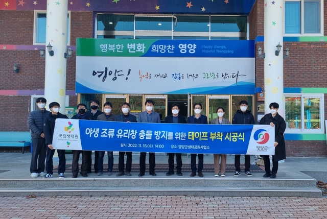 ▲ 영양군(군수 오도창)은 11월 16일 영양군 생태공원사업소에서 야생조류 유리창 충돌 방지를 위한 테이프 부착 행사를 실시했다.ⓒ영양군