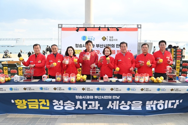 ▲ 청송군(군수 윤경희)은 지난 11월 19일 광안리해수욕장 카페거리 만남의광장(부산 수영구 광안동 소재)에서 MZ세대들을 대상으로 ‘청송사과 대도시 홍보 마케팅 행사’를 가졌다.ⓒ청송군