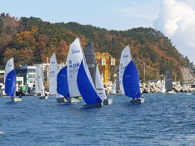 ▲ 포항시체육회는 올해 해양스포츠아카데미 2천여명, 해양레포츠 집중육성 지원사업 1천여명, 해양레포츠 전문인력 양성교실 900여명 등 총 3900여명이 참여했다.ⓒ포항시체육회