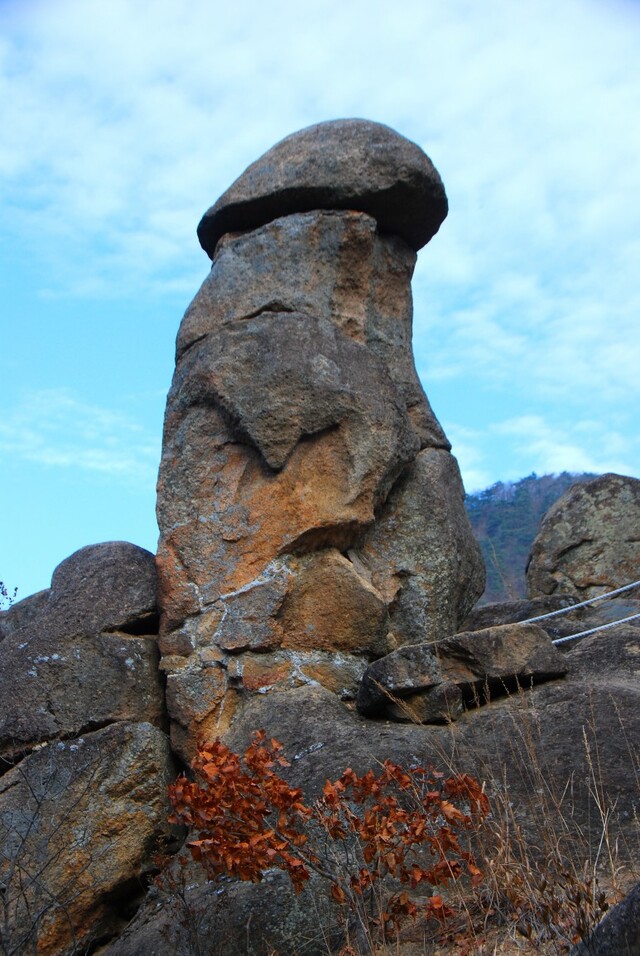 ▲ 굵기가 성인 세 아름 정도이고, 높이는 약 4m 정도인 남근입석.ⓒ진경수 山애호가