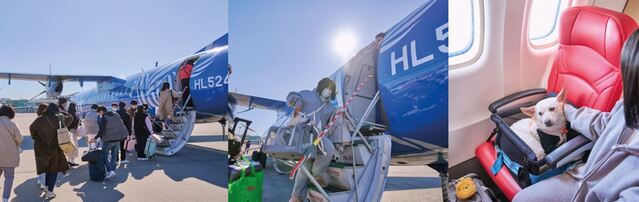 ▲ 하이에어 그룹이 국내에서 처음으로 펫 전세기 예약 플랫폼 ‘펫 엔젤’을 출시했다. ⓒ하이에어 그룹