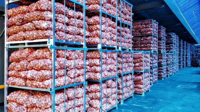 ▲ 영천시(시장 최기문)는 2023년 경상북도 공모사업 선정 및 신녕 농업협동조합(조합장 이구권)의 대의원 총회 의결을 거쳐 내년 7월 개장을 목표로 신녕농협 마늘출하조절센터 인근 부지에 경북 최초 마늘 공판장을 건립한다.ⓒ영천시