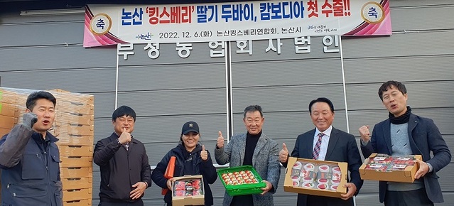 ▲ 논산킹스베리연합회가 킹스베리 딸기 캄보디아와 아랍에미리트 두바이 수출에 앞서 선보이고 있다.ⓒ논산시