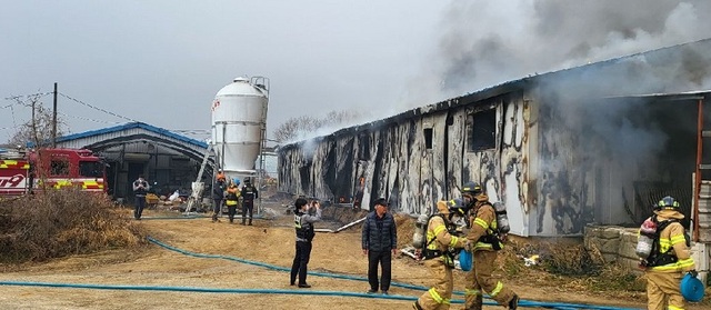 ▲ 13일 오전 10시 40분쯤 세종시 연기면 한 돈사에서 불이 나 소방대원들이 진화작업을 벌이고 있다.ⓒ세종소방본부