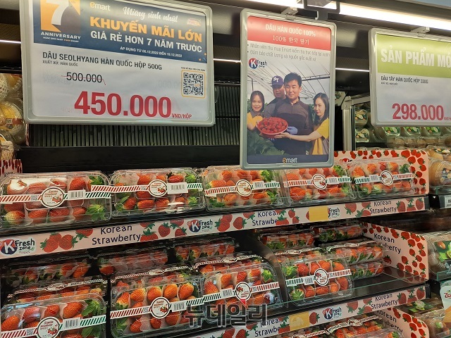 ▲ 고급식재에 대한 수요가 늘며 일반 제품 대비 3배 가까이 비싼 한국산 설향딸기 판매도 늘어나고 있다ⓒ조현우 기자