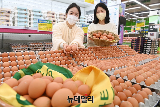▲ 16일 서울 서초구 농협 하나로마트 양재점에서 모델들이 계란 30구 특별 할인판매를 소개하고 있다. 농협유통 대표매장 양재·창동·청주·대전·부산·전주점 에서는 12월 21일(수)까지 최대 31% 할인된 가격으로 구매할 수 있다. ⓒ농협유통
