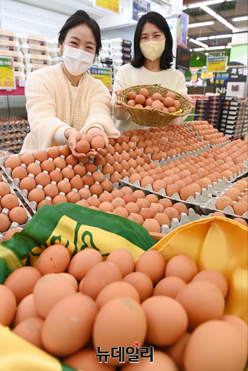 ▲ 16일 서울 서초구 농협 하나로마트 양재점에서 모델들이 계란 30구 특별 할인판매를 소개하고 있다. 농협유통 대표매장 양재·창동·청주·대전·부산·전주점 에서는 12월 21일(수)까지 최대 31% 할인된 가격으로 구매할 수 있다. ⓒ농협유통