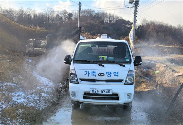 ▲ 지난 23일 칠곡 소재 농가가 신고한 산란계 의사환축이 최종 고병원성 조류인플루엔자(H5N1)로 24일 확진됐다.ⓒ경북도