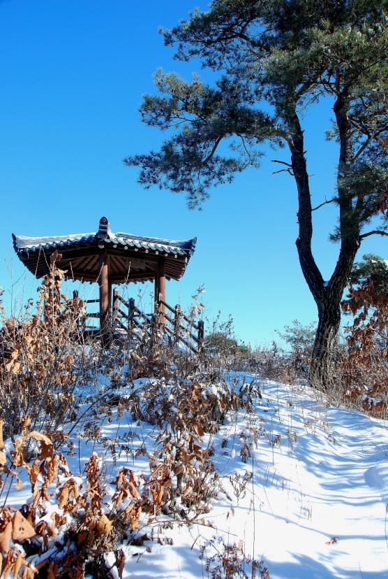 ▲ 전망대 복덕정.ⓒ진경수 山 애호가