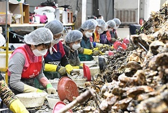 ▲ 굴 양식장.ⓒ해수부