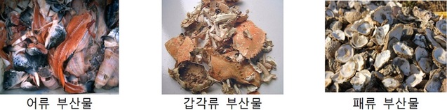 ▲ 수산부산물 종류.ⓒ해수부