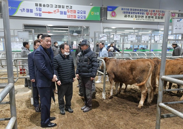 ▲ 최원철 공주시장이 13일 새해 첫 한우 송아지 경매시장을 방문해 축산인들을 격려하고 있다.ⓒ공주시