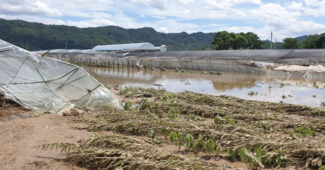 ▲ 용담댐의 급작스런 방류로 침수피해를 본 영동 농경지.ⓒ박덕흠 의원실