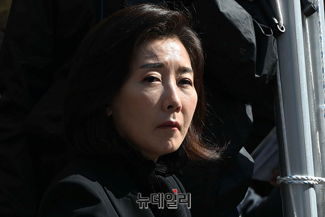 ▲ 나경원 전 미래통합당(현 국민의힘) 의원.ⓒ뉴데일리DB