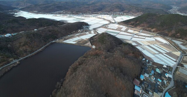 ▲ 의성마늘 생산단지 전경.ⓒ경북도