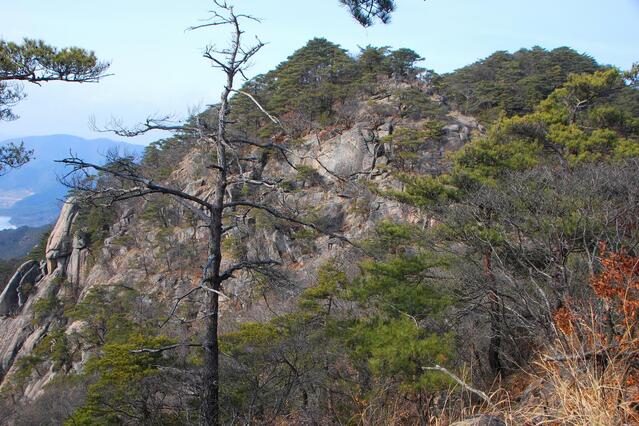 ▲ 고사목 뒤로 바위로 이뤄진 아가봉의 산세.ⓒ진경수 山 애호가