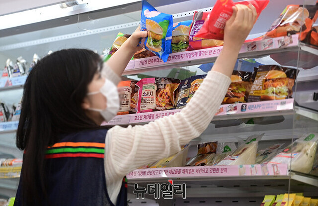 ▲ ⓒ뉴데일리DB