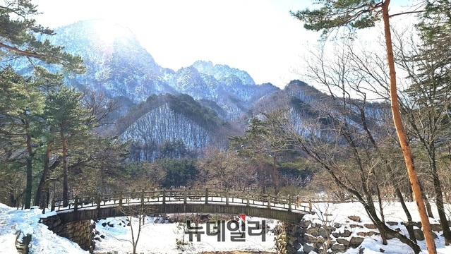 ▲ 최근 많은 눈이 내린 가운데 29일 신흥사에서 바라본 강원도 설악산이 마치 한폭의 동양화처럼 멋진 장관을 연출하고 있다.ⓒ김정원 기자